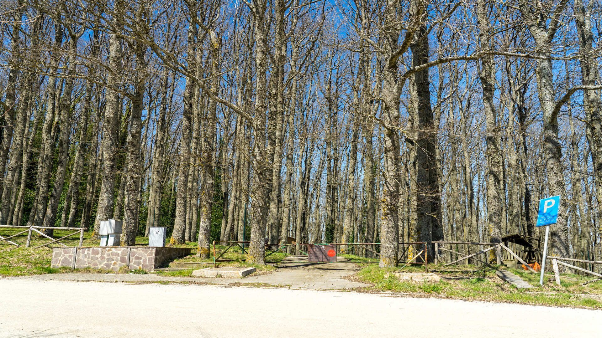 Bosco Pianelle di Tufara